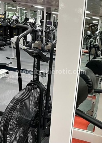 Стефания, Г. Лиски